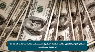 أسعار الدولار الكندي مقابل الجنيه المصري تستقر عند بداية تعاملات الأحد مع توقعات مستقبلية